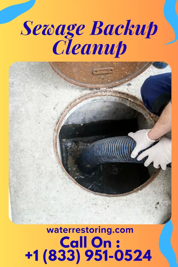 Sewage Backup Cleanup in Letts, IA